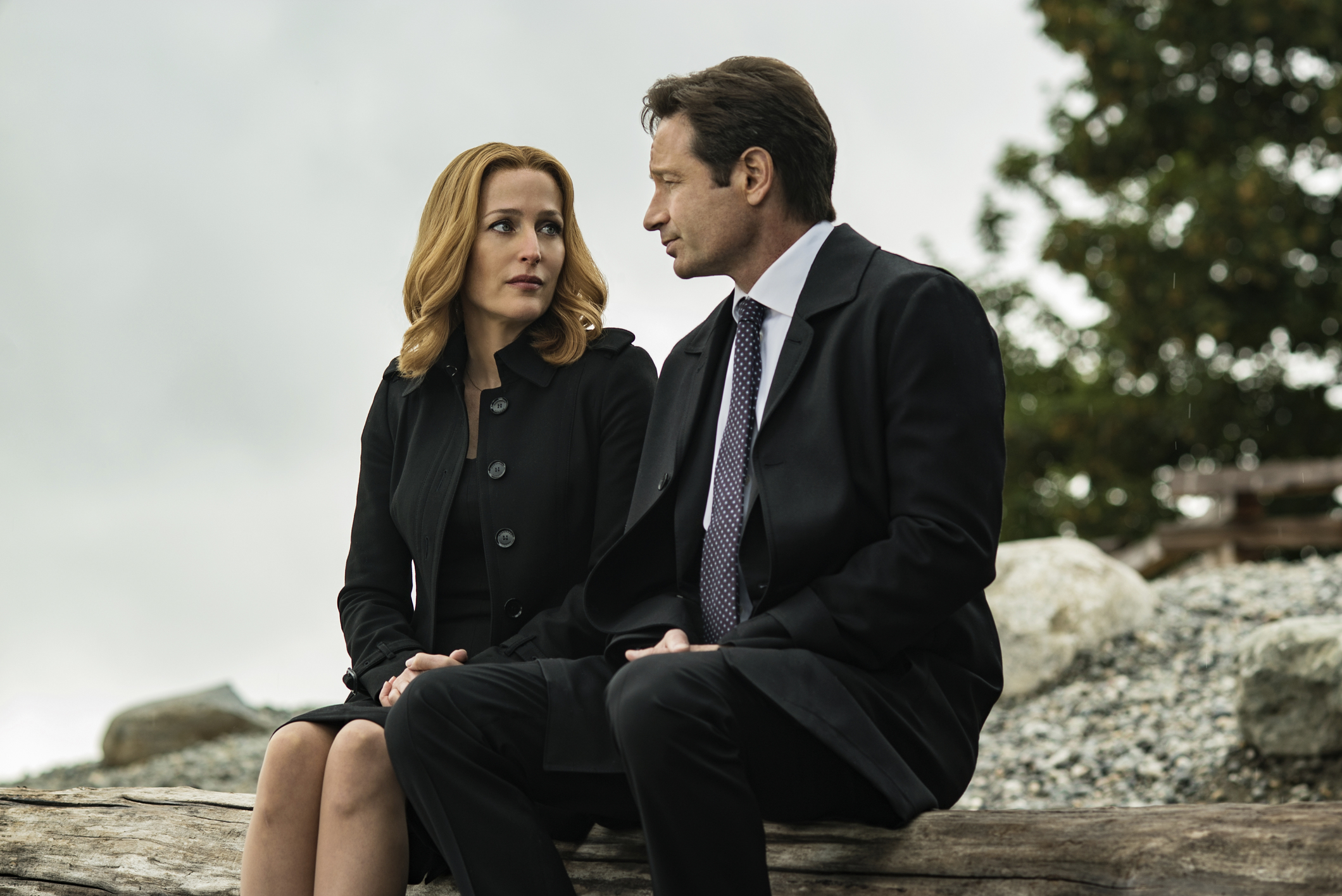 x-files home again scully mulder