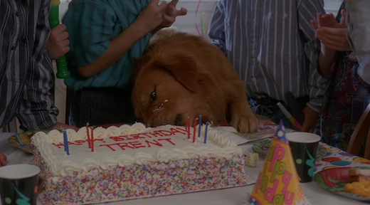 A dog jumps up to eat birthday cake off the table while a group of children laugh.