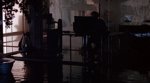 Wilczek sits at his home computer, which is weirdly set up directly in front of an indoor pond.